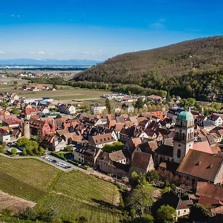 Apartment Appartement Nid Du Chateau Avec Garage Kaysersberg-Vignoble