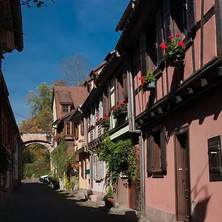 Nid Du Chateau Avec Garage * Kaysersberg-Vignoble