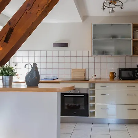 Apartment Appartement Nid Du Chateau Avec Garage Kaysersberg-Vignoble